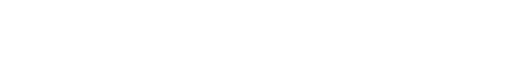 logo dssi